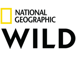 National Geographic Wild