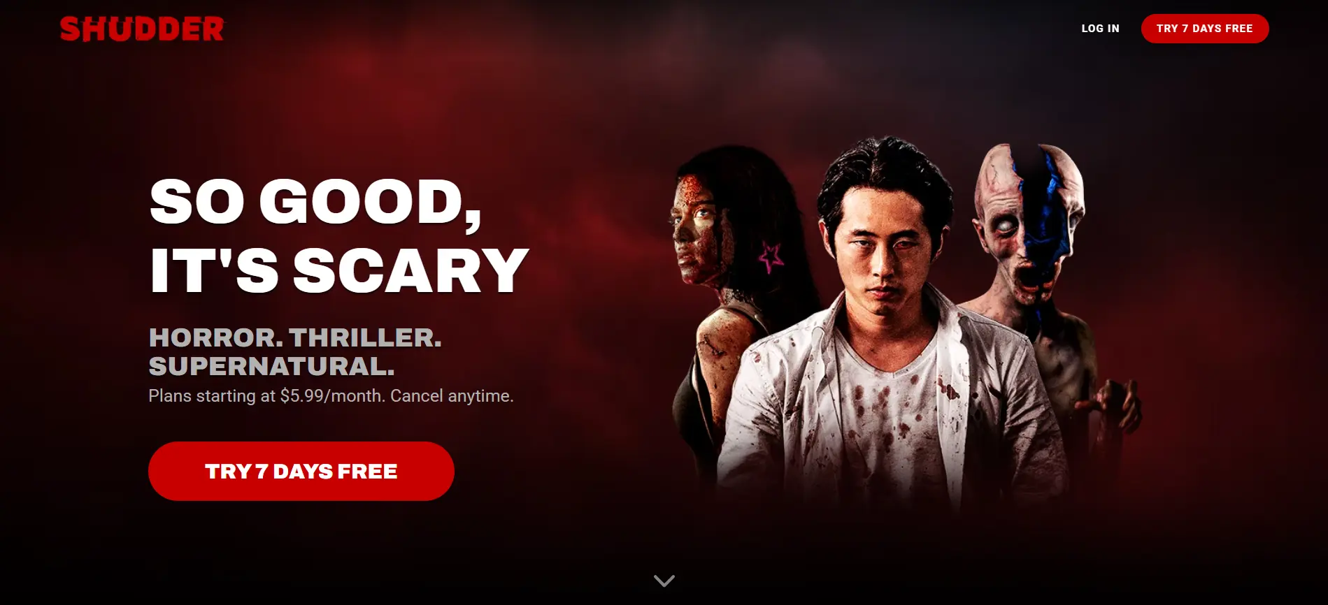 Source: Shudder