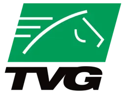 TV Games Network